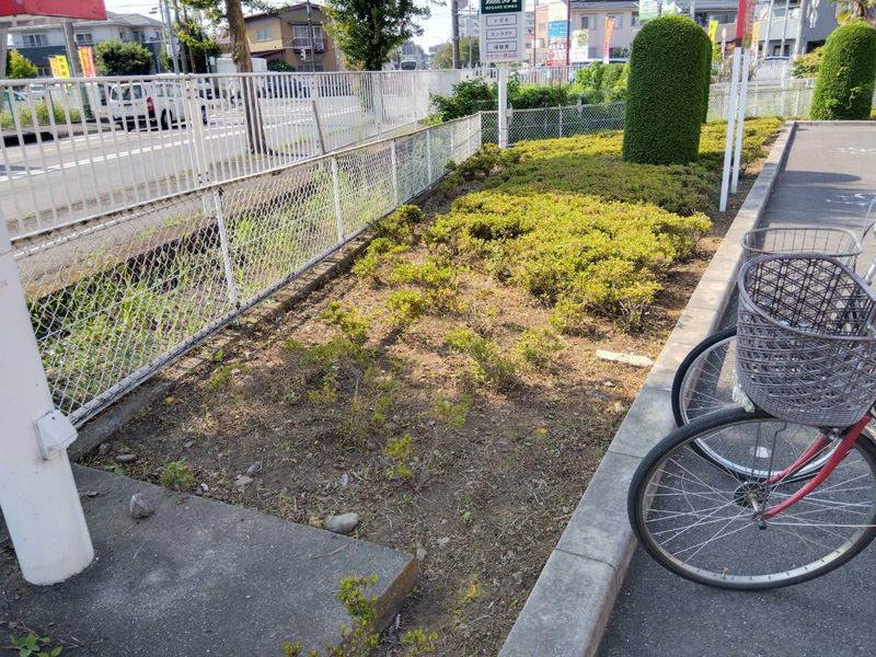 埼玉県狭山市内某スーパー 緑地整備工事 完了