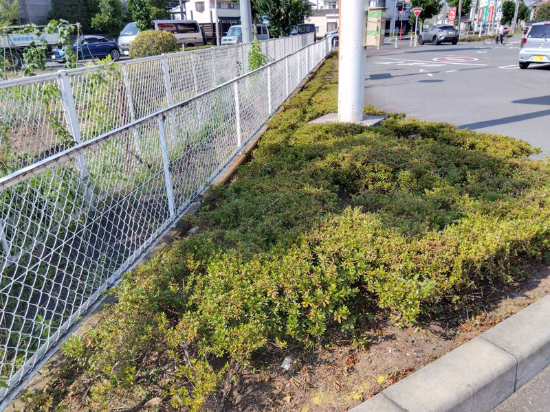 埼玉県狭山市内某スーパー 緑地整備工事 完了