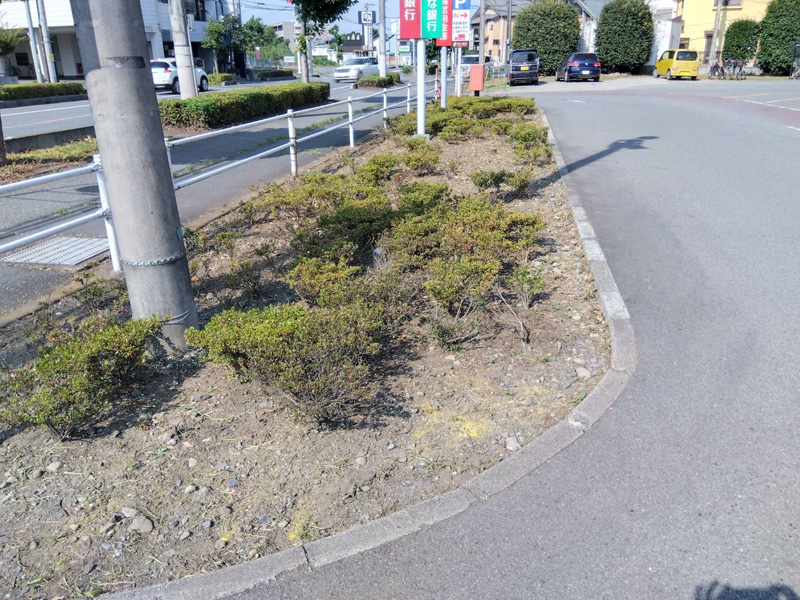 埼玉県狭山市内某スーパー 緑地整備工事 完了