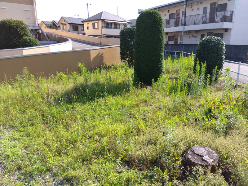 埼玉県狭山市内某スーパー 緑地整備工事 着工前