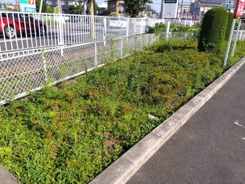 埼玉県狭山市内某スーパー 緑地整備工事 着工前