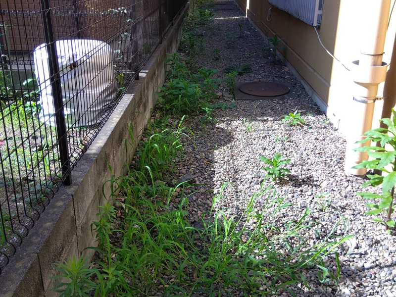 埼玉県狭山市内某スーパー 緑地整備工事 着工前