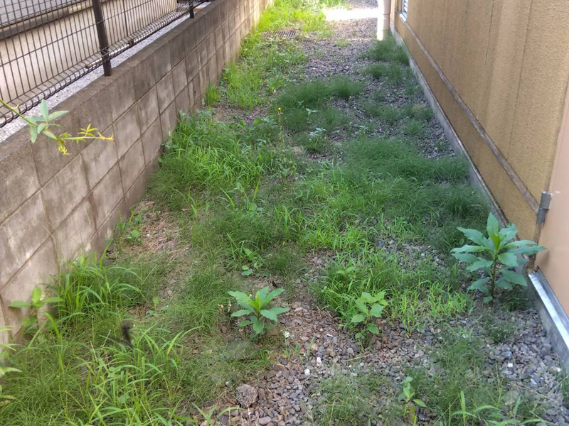 埼玉県狭山市内某スーパー 緑地整備工事 着工前