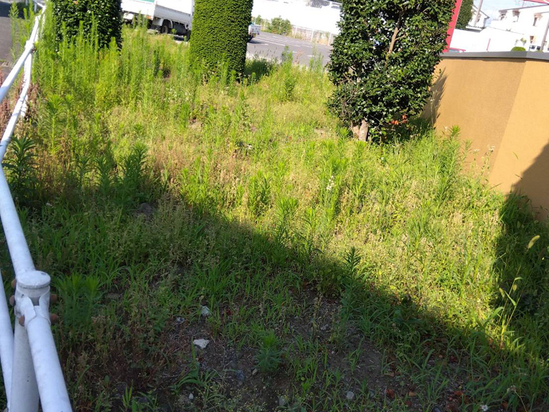 埼玉県狭山市内某スーパー 緑地整備工事 着工前