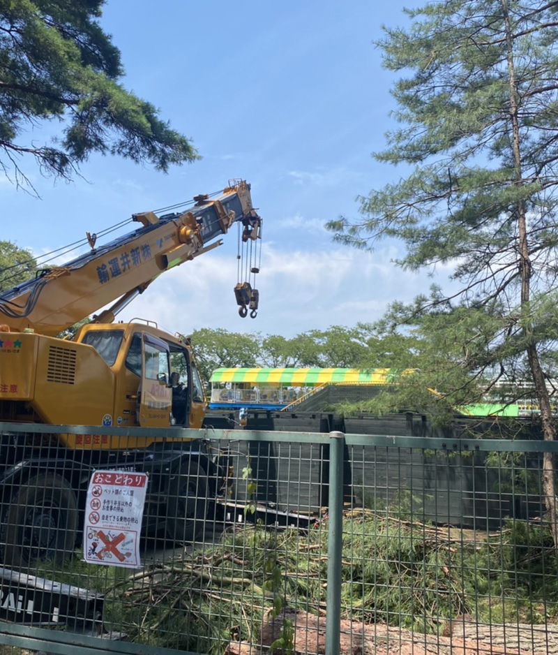 埼玉県 某遊園施設 伐採工事 着工前