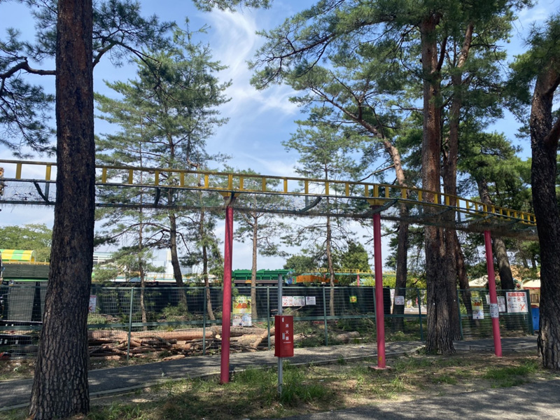 埼玉県 某遊園施設 伐採工事 完了