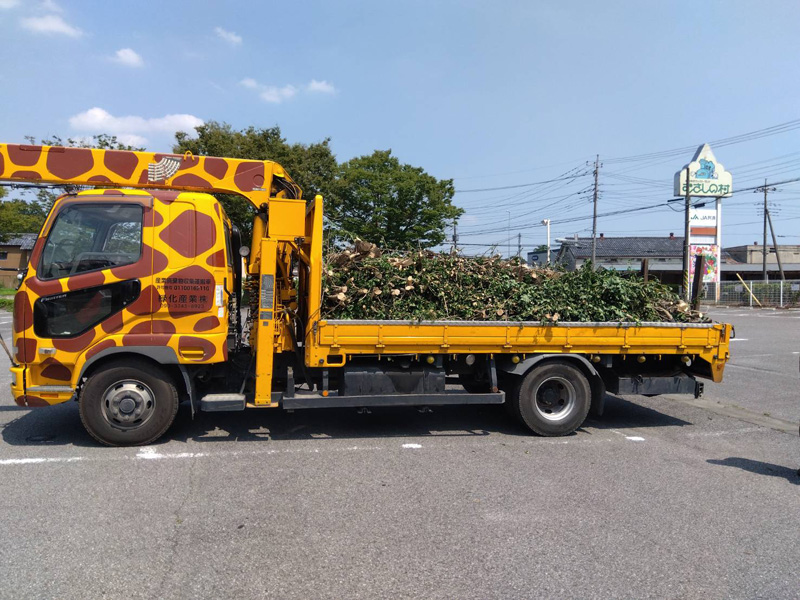 埼玉県 某遊園施設 伐採工事 完了