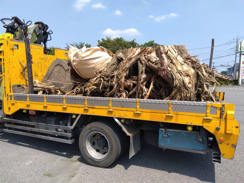 埼玉県 某遊園施設 伐採工事 完了