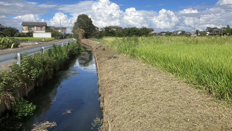 埼玉県久喜市 草刈り伐採工事 完了