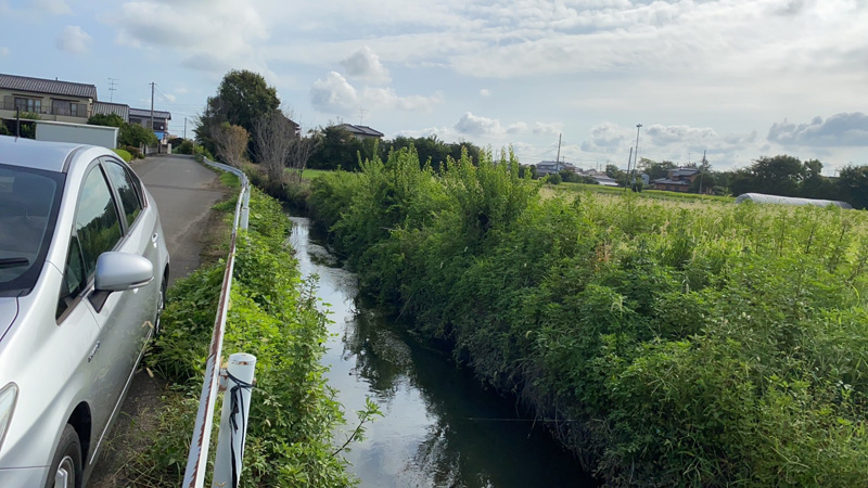 埼玉県久喜市 草刈り伐採工事 着工前