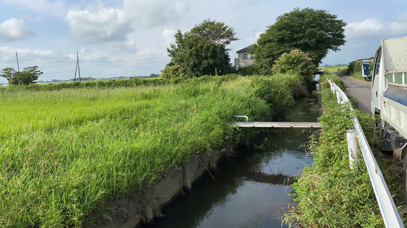 埼玉県久喜市 草刈り伐採工事 着工前