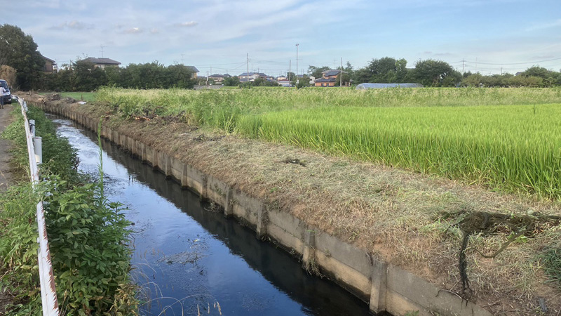 埼玉県久喜市 草刈り伐採工事 完了