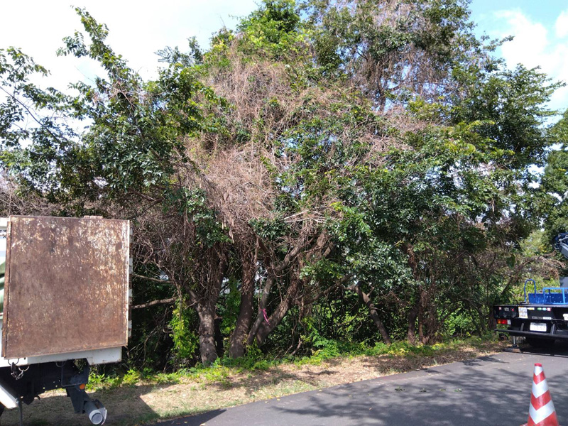 埼玉県東松山市大規模河川工事 着工前