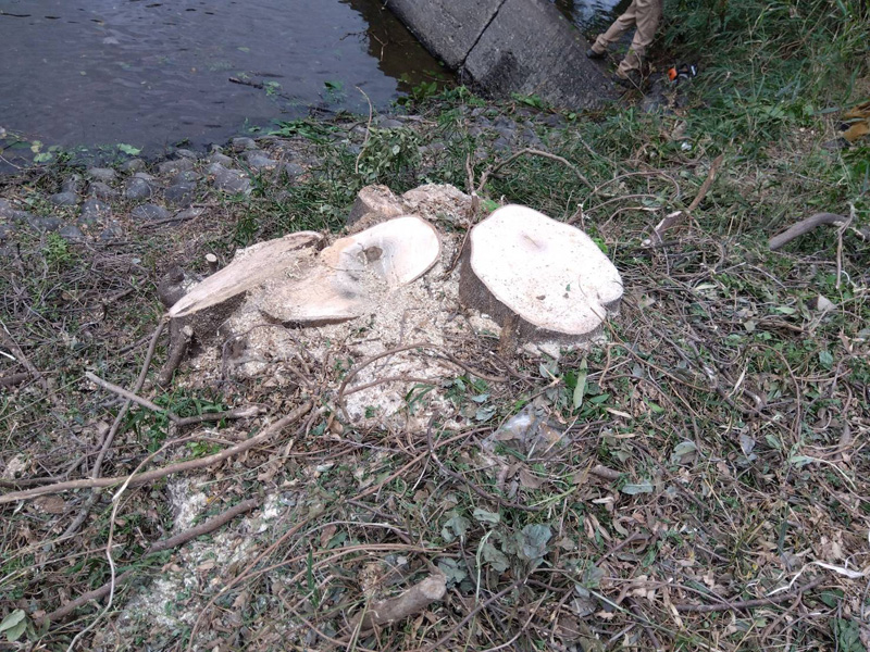 埼玉県東松山市大規模河川工事 完了