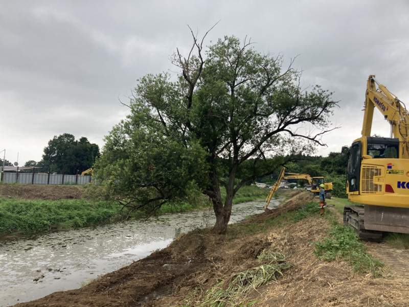 埼玉県東松山市大規模河川工事 樹木伐採 着工前