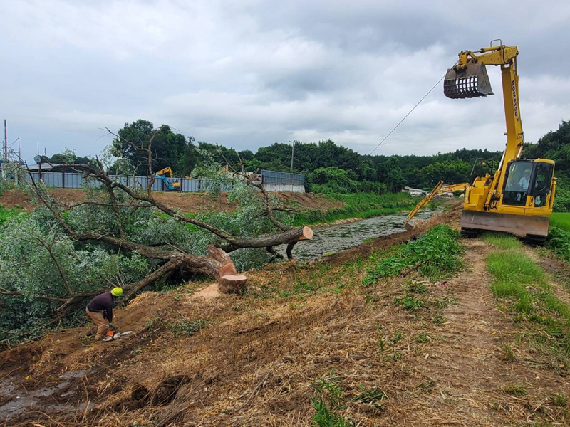 埼玉県東松山市大規模河川工事 樹木伐採 作業中