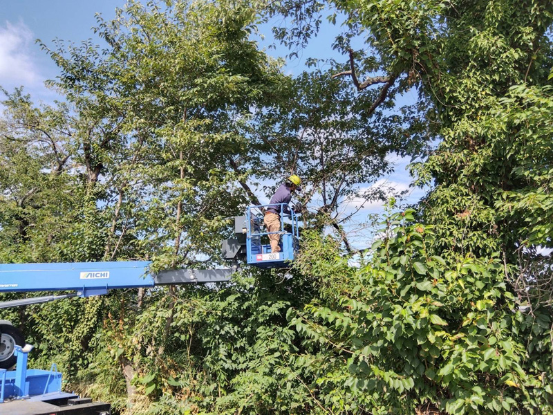 埼玉県東松山市大規模河川工事 高所作業