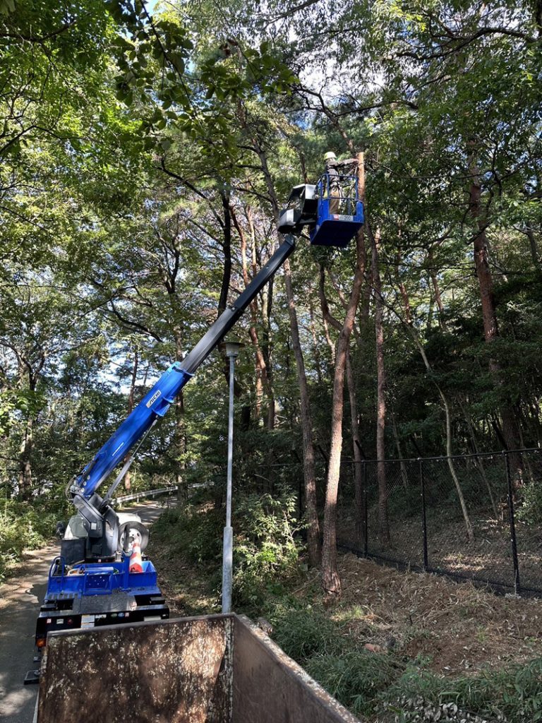 埼玉県東松山市内動物園 伐採工事 作業中