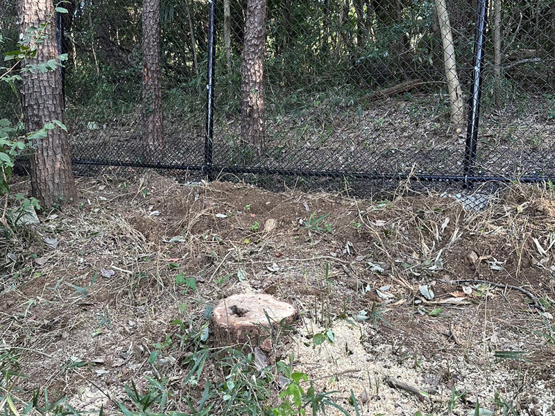 埼玉県東松山市内動物園 伐採工事 完了