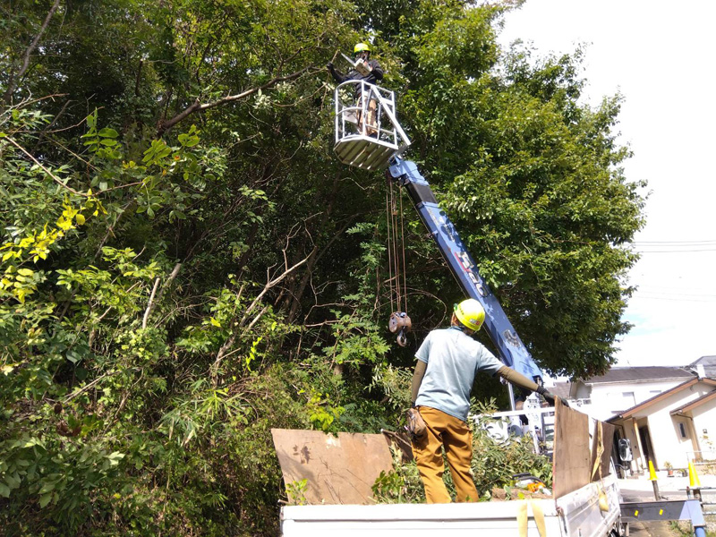 埼玉県比企郡吉見町 某公園 剪定工事 作業中