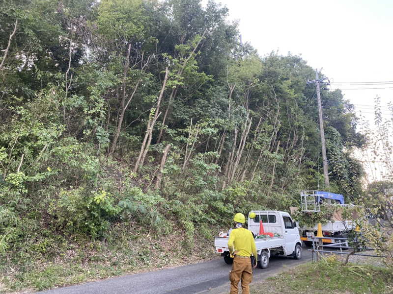 埼玉県比企郡吉見町 某公園 剪定工事 完了