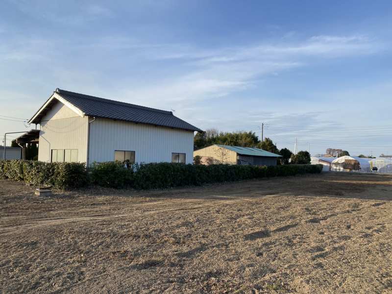 埼玉県比企郡吉見町 個人様宅生垣伐採工事 完了