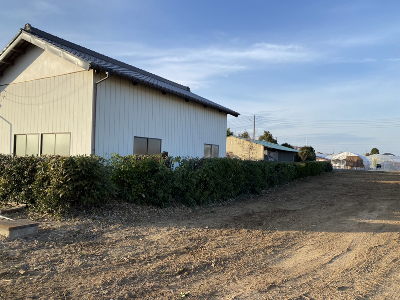 埼玉県比企郡吉見町 個人様宅生垣伐採工事 完了