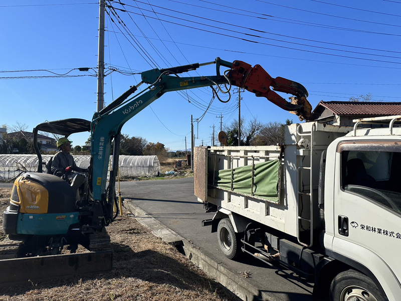 埼玉県比企郡川島町 枯木倒木撤去工事 作業中