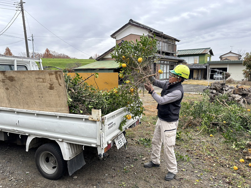 埼玉県比企郡吉見町 個人宅伐採工事 作業中