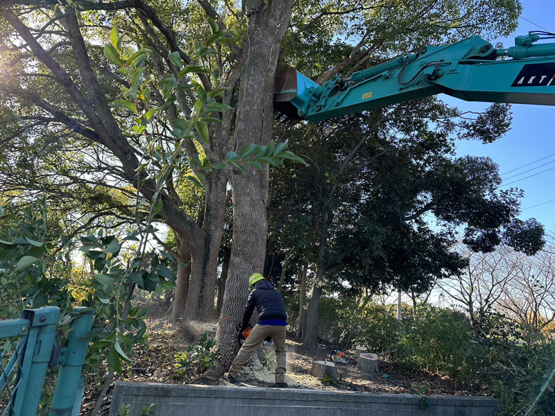 埼玉県久喜市内 伐採工事 作業中