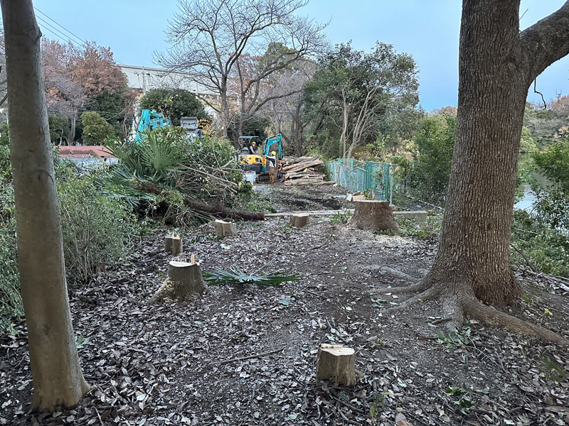 埼玉県久喜市内 伐採工事 作業中