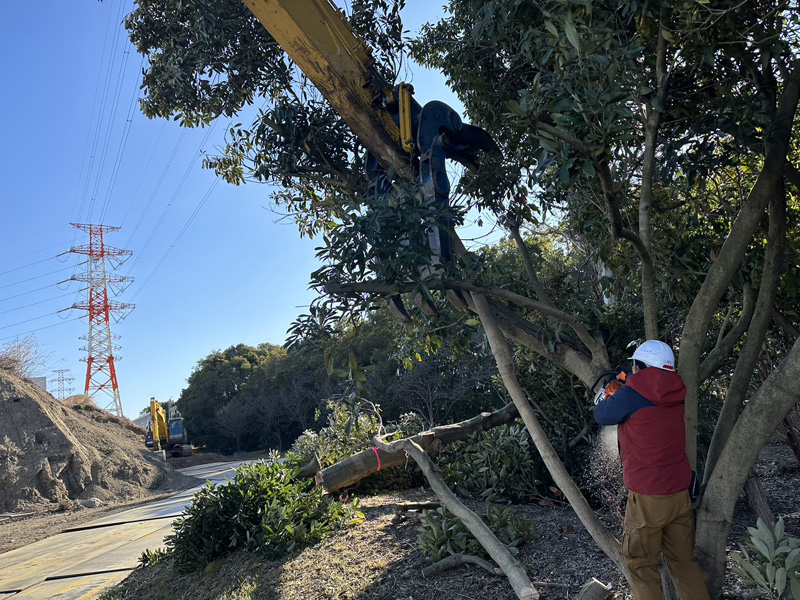 埼玉県桶川市 浄水場内 伐採工事 作業中