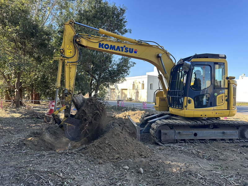 埼玉県桶川市 浄水場内 伐採工事 作業中