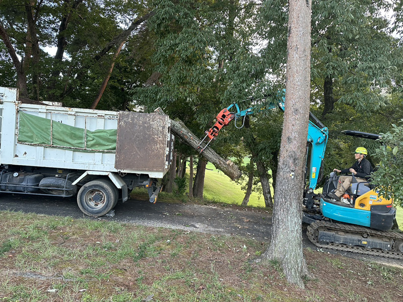 埼玉県東松山市内ゴルフ場 伐採工事 作業中