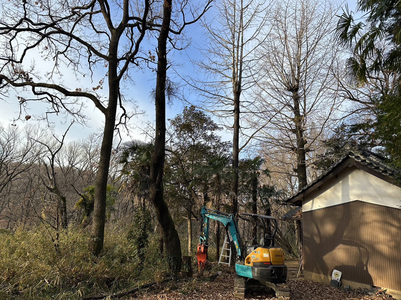 埼玉県比企郡吉見町 伐採工事 着工前