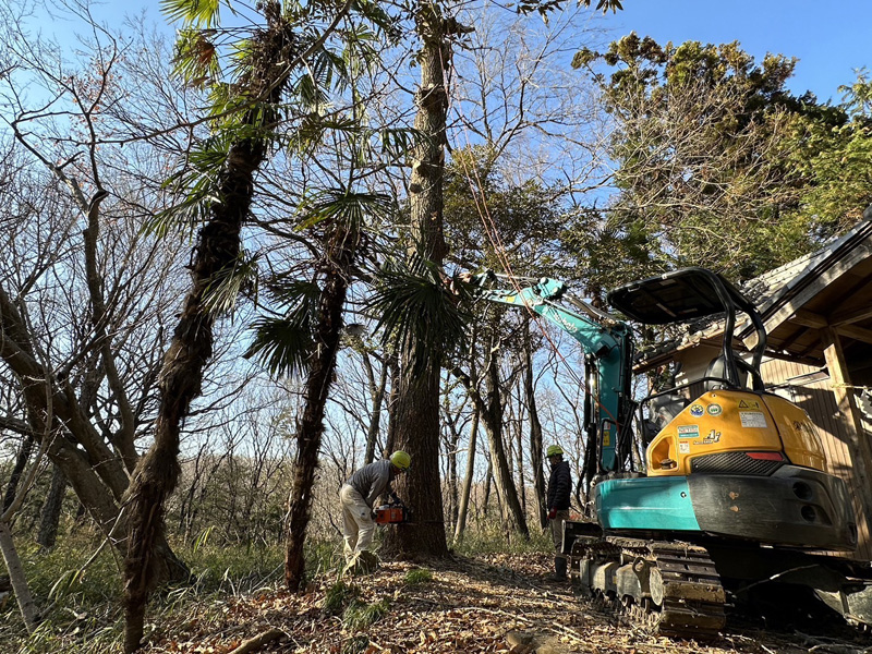 埼玉県比企郡吉見町 伐採工事 作業中
