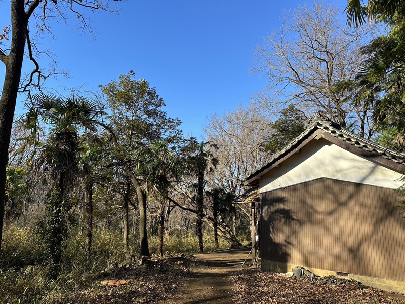 埼玉県比企郡吉見町 伐採工事 完了