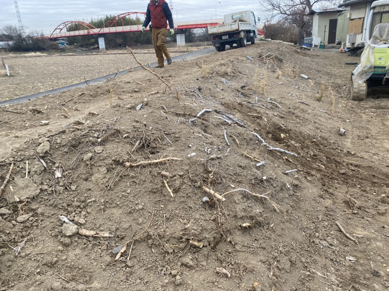 埼玉県さいたま市 竹・除根工事 着工前