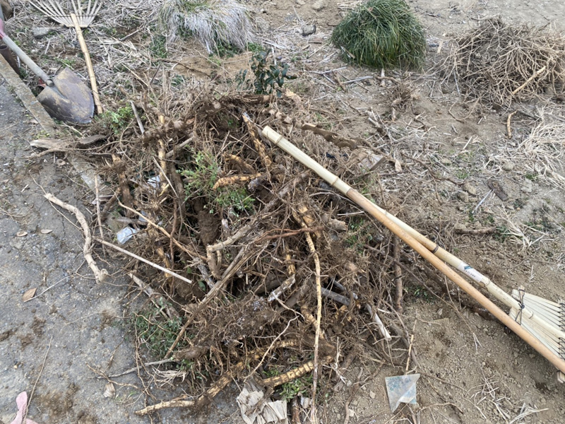 埼玉県さいたま市 竹・除根工事 工事中