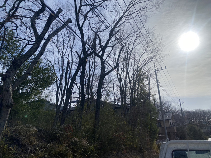 埼玉県比企郡吉見町 伐採工事 着工前