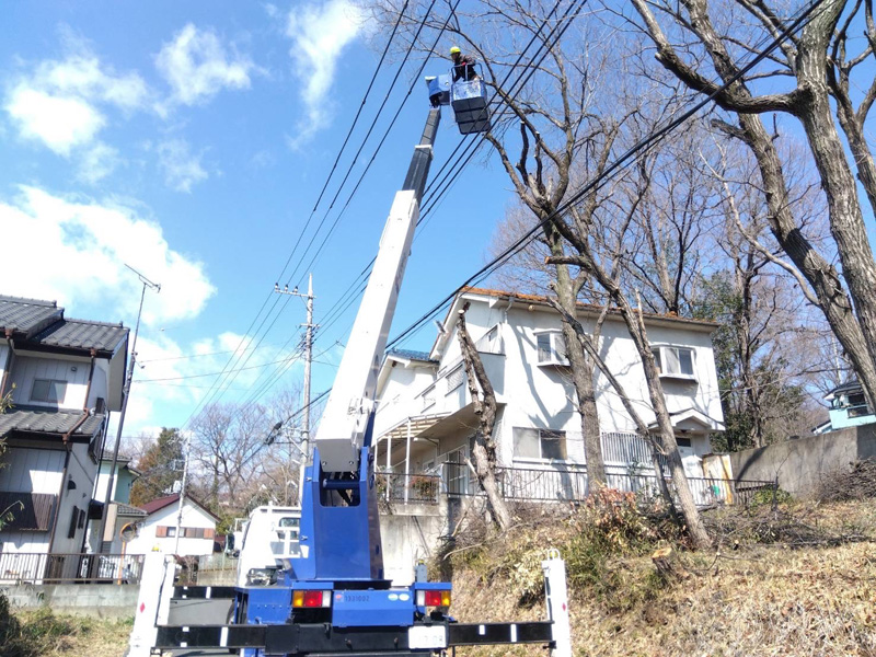埼玉県比企郡吉見町 伐採工事 作業中