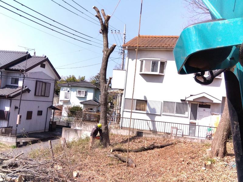 埼玉県比企郡吉見町 伐採工事 作業中