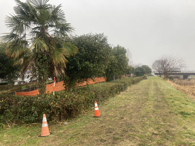 埼玉県加須市公園内 植木伐採工事 着工前