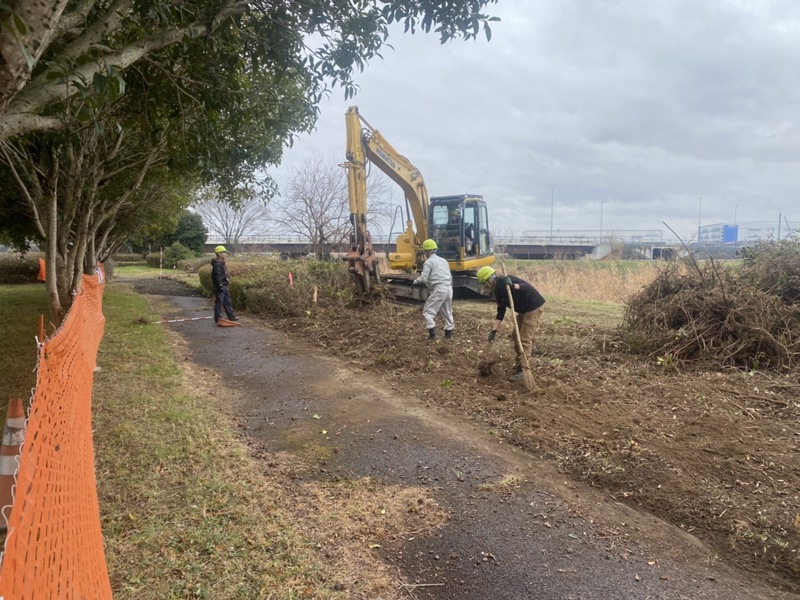 埼玉県加須市公園内 植木伐採工事 作業中