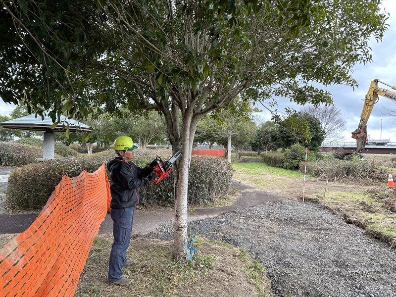 埼玉県加須市公園内 植木伐採工事 作業中
