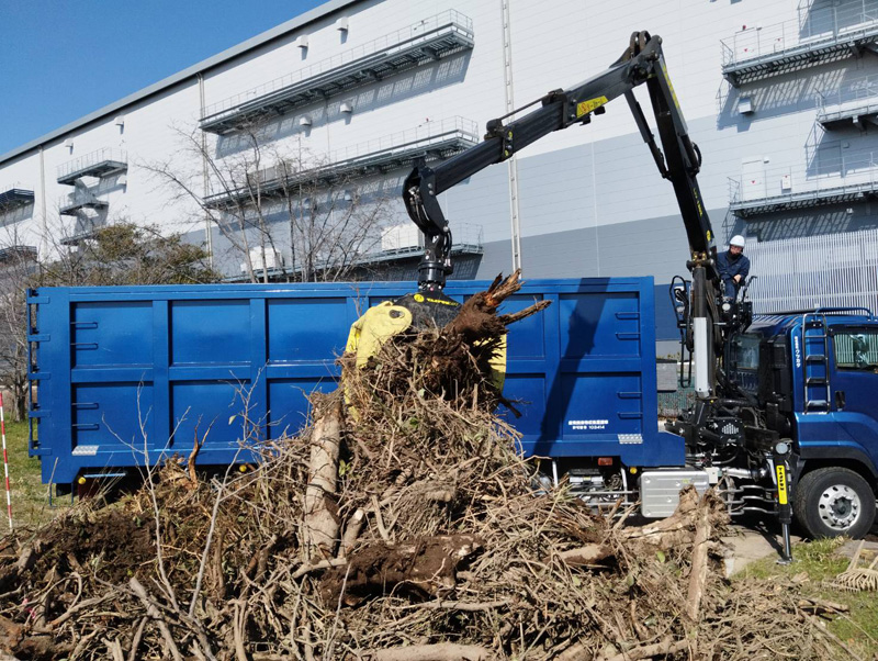 埼玉県加須市公園内 植木伐採工事 搬出状況