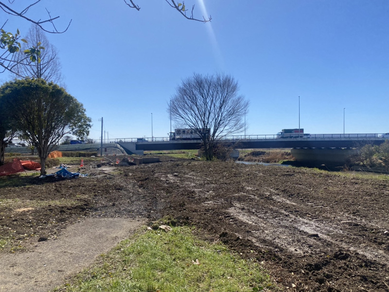 埼玉県加須市公園内 植木伐採工事 完了