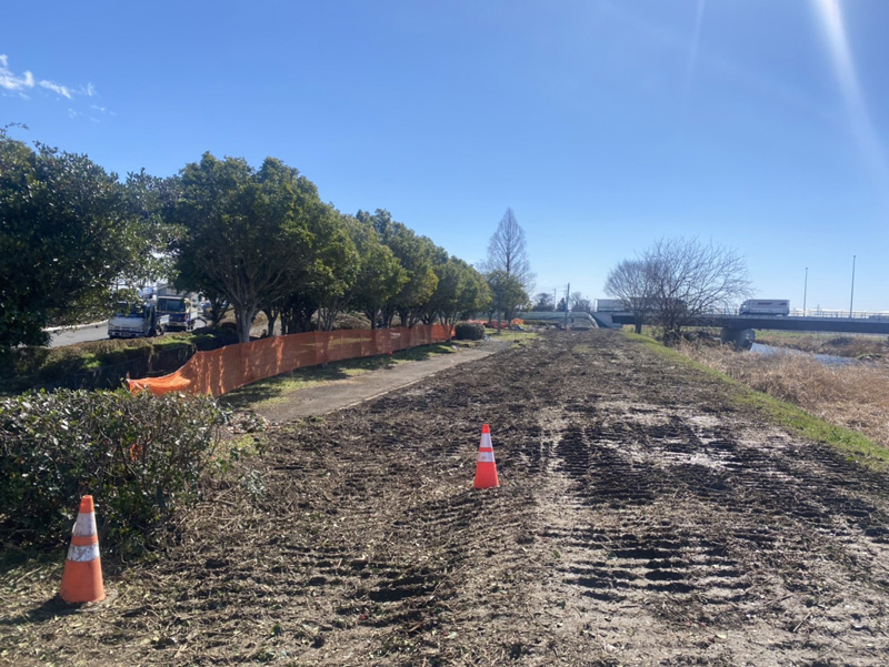 埼玉県加須市公園内 植木伐採工事 完了