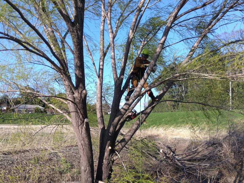 埼玉県上尾市 調整池伐採工事 作業中