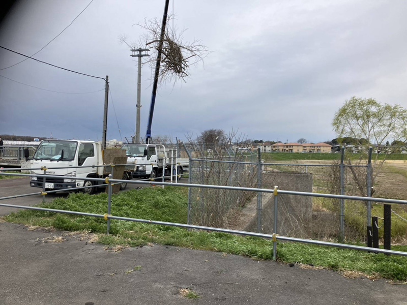 埼玉県上尾市 調整池伐採工事 作業中